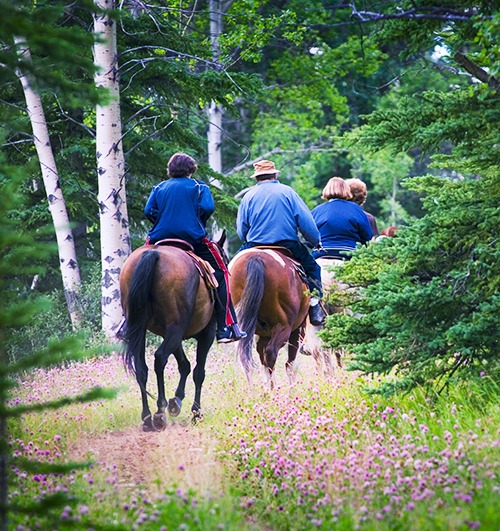 Horseback Riding, Lake Lure, NC